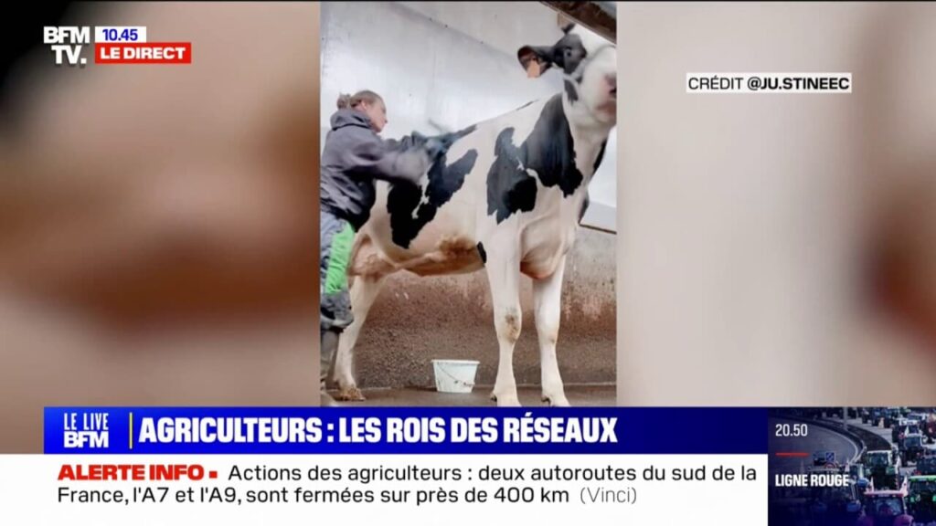 Découvrez le quotidien captivant de ces agriculteurs partagé sur les réseaux sociaux