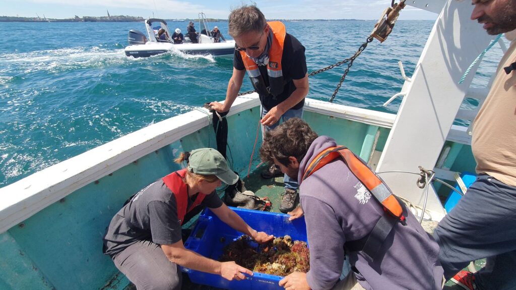 Plongée dans l’ADN des Océans : Des Scientifiques Ambitieux Visent à Séquencer 4 500 Espèces Marine